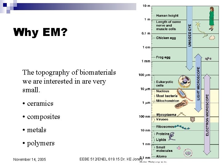 Why EM? The topography of biomaterials we are interested in are very small. •