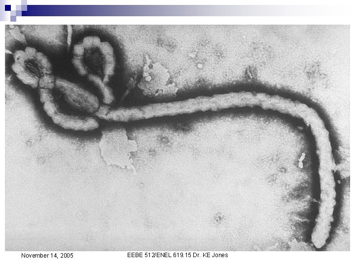 November 14, 2005 EEBE 512/ENEL 619. 15 Dr. KE Jones 