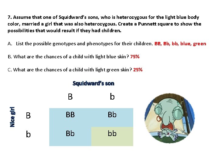 7. Assume that one of Squidward’s sons, who is heterozygous for the light blue