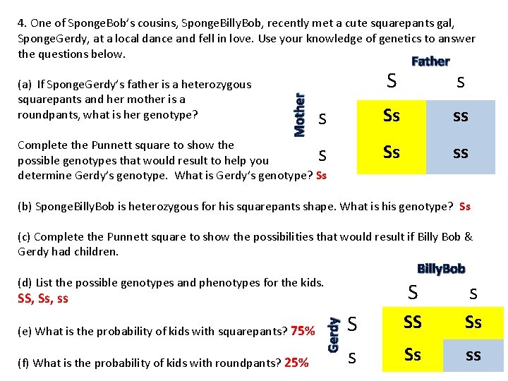 (a) If Sponge. Gerdy’s father is a heterozygous squarepants and her mother is a