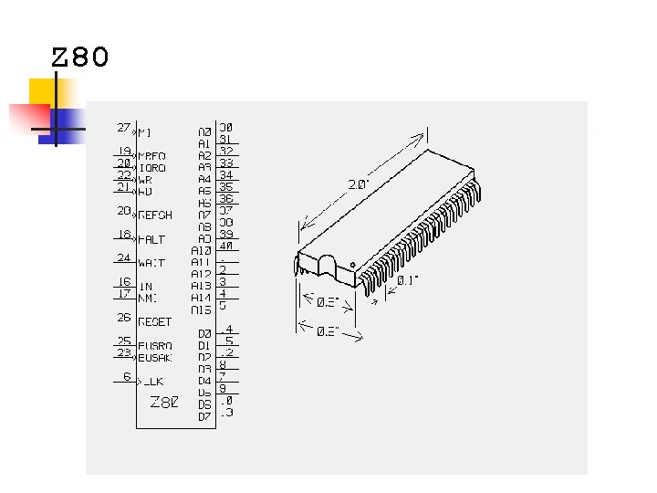 Z 80 