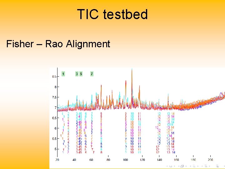 TIC testbed Fisher – Rao Alignment 