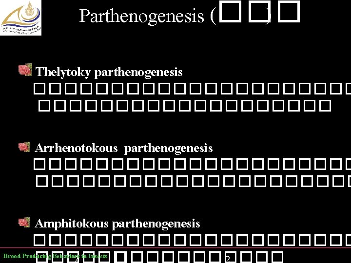 Parthenogenesis (��� ) Thelytoky parthenogenesis ����������� Arrhenotokous parthenogenesis ��������������������� Amphitokous parthenogenesis ����������� Brood Producing