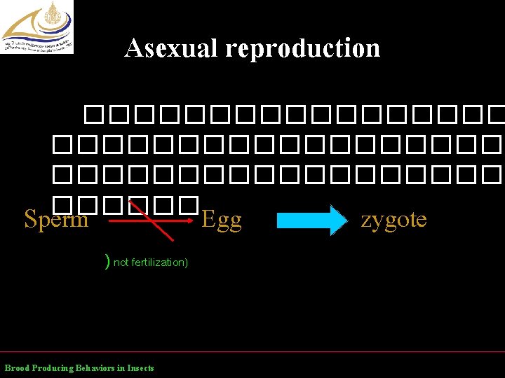 Asexual reproduction ������������������� ������ Sperm Egg ) not fertilization) Brood Producing Behaviors in Insects