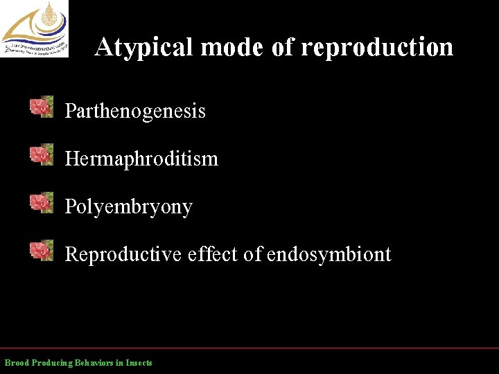 Atypical mode of reproduction Parthenogenesis Hermaphroditism Polyembryony Reproductive effect of endosymbiont Brood Producing Behaviors