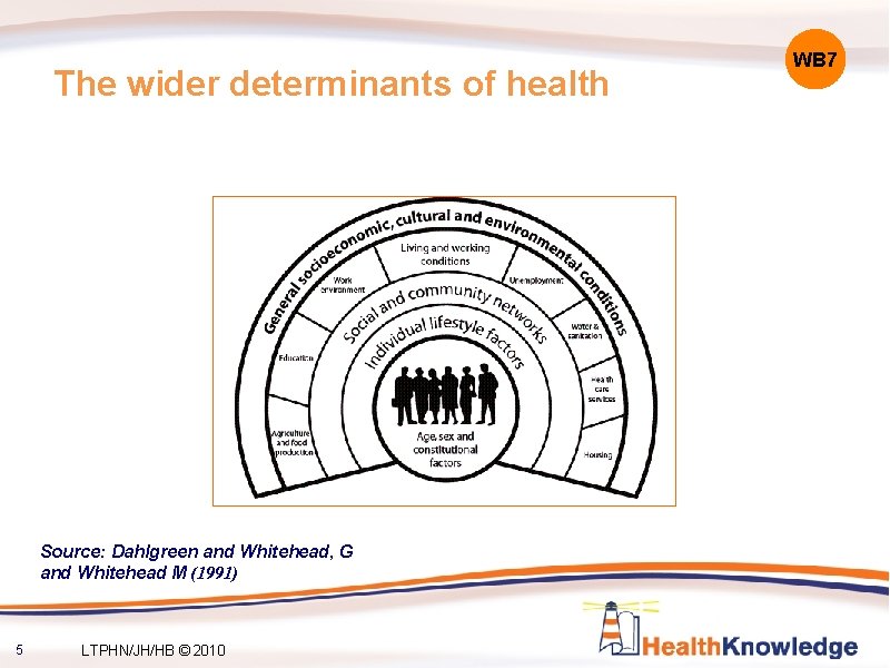 The wider determinants of health Source: Dahlgreen and Whitehead, G and Whitehead M (1991) The wider determinants of health Source: Dahlgreen and Whitehead, G and Whitehead M (1991)