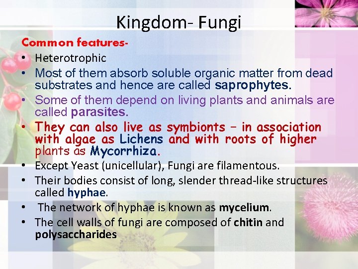 Kingdom- Fungi Common features • Heterotrophic • Most of them absorb soluble organic matter
