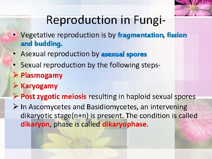 Reproduction in Fungi • Vegetative reproduction is by fragmentation, fission and budding. • Asexual