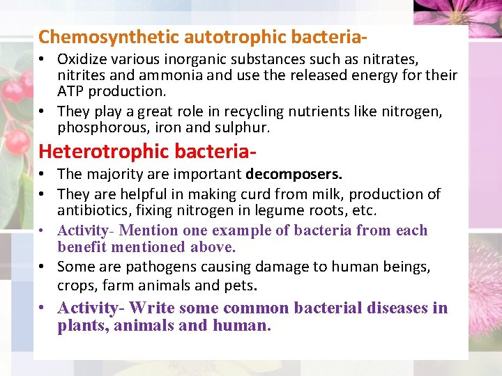 Chemosynthetic autotrophic bacteria- • Oxidize various inorganic substances such as nitrates, nitrites and ammonia