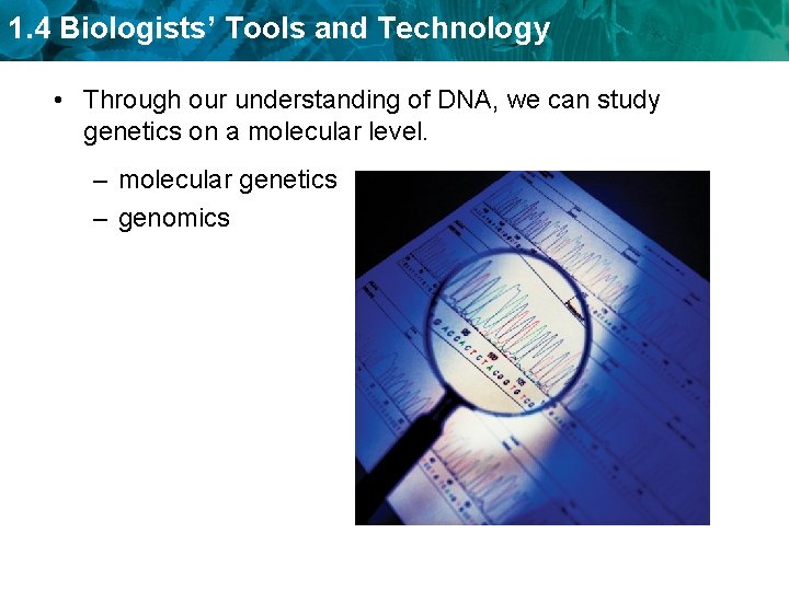 1. 4 Biologists’ Tools and Technology • Through our understanding of DNA, we can