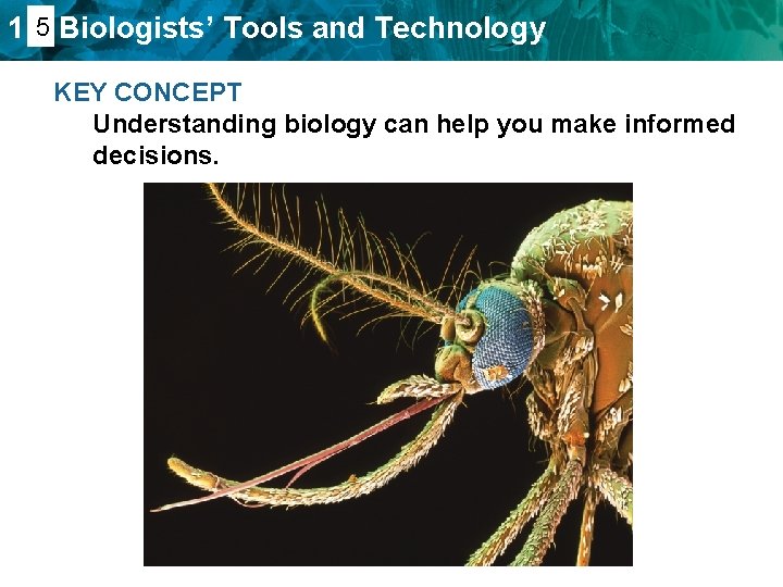 1. 45 Biologists’ Tools and Technology KEY CONCEPT Understanding biology can help you make