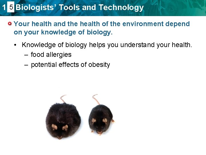 1. 45 Biologists’ Tools and Technology Your health and the health of the environment