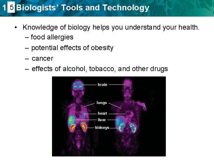 1. 45 Biologists’ Tools and Technology • Knowledge of biology helps you understand your