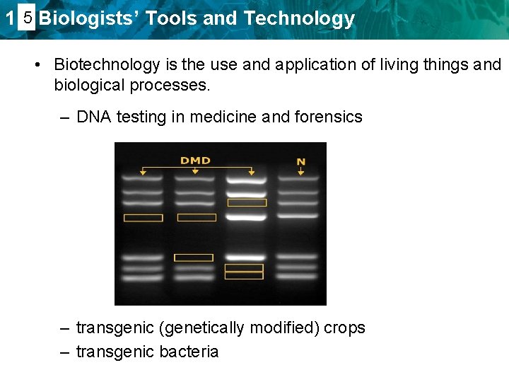 1. 45 Biologists’ Tools and Technology • Biotechnology is the use and application of