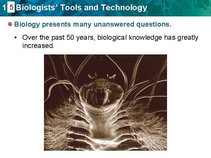 1. 45 Biologists’ Tools and Technology Biology presents many unanswered questions. • Over the