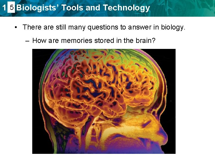 1. 45 Biologists’ Tools and Technology • There are still many questions to answer
