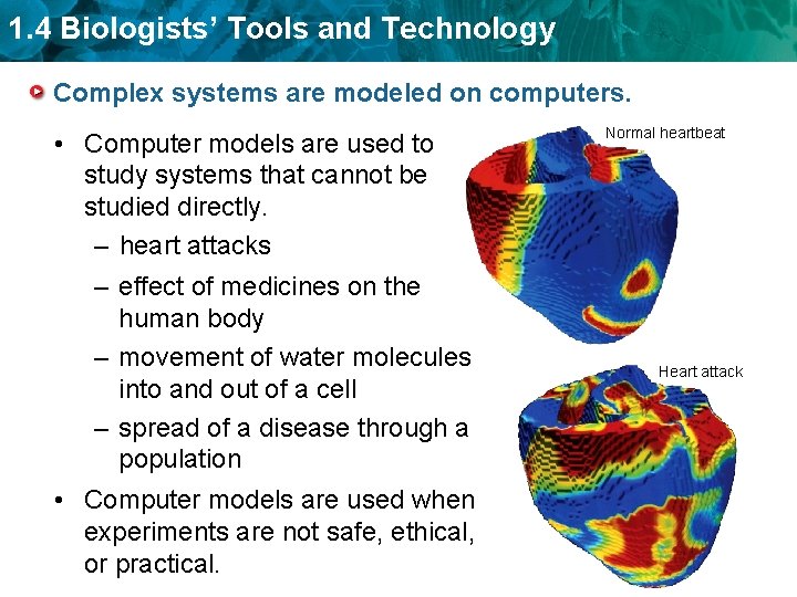1. 4 Biologists’ Tools and Technology Complex systems are modeled on computers. • Computer
