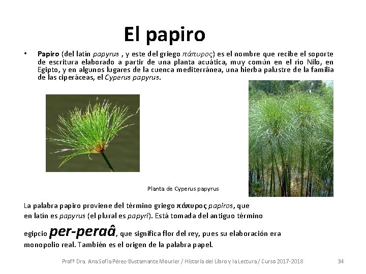El papiro • Papiro (del latín papyrus , y este del griego πάπυρος) es El papiro • Papiro (del latín papyrus , y este del griego πάπυρος) es