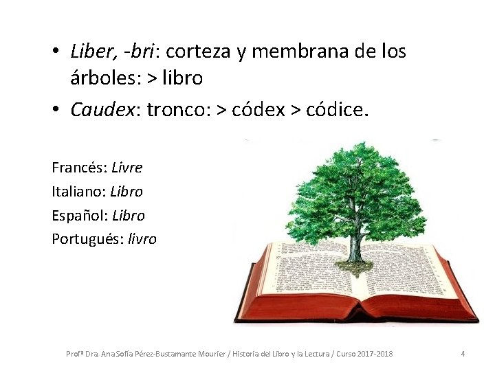 • Liber, -bri: corteza y membrana de los árboles: > libro • Caudex: • Liber, -bri: corteza y membrana de los árboles: > libro • Caudex: