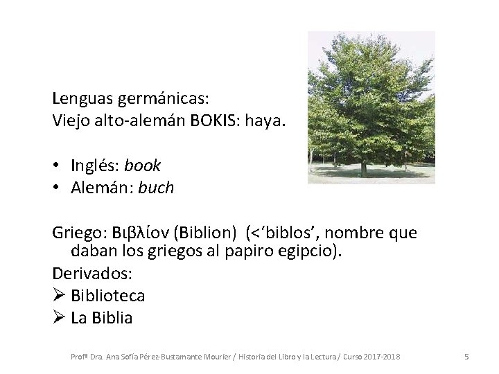 Lenguas germánicas: Viejo alto-alemán BOKIS: haya. • Inglés: book • Alemán: buch Griego: Βιβλίοv Lenguas germánicas: Viejo alto-alemán BOKIS: haya. • Inglés: book • Alemán: buch Griego: Βιβλίοv