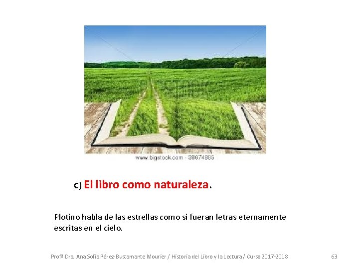 C) El libro como naturaleza. Plotino habla de las estrellas como si fueran letras C) El libro como naturaleza. Plotino habla de las estrellas como si fueran letras