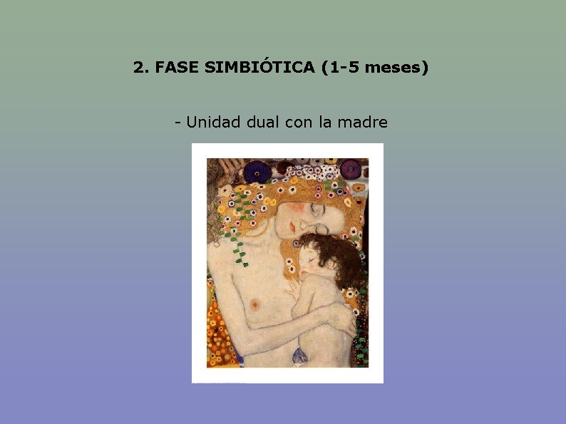 2. FASE SIMBIÓTICA (1 -5 meses) - Unidad dual con la madre 