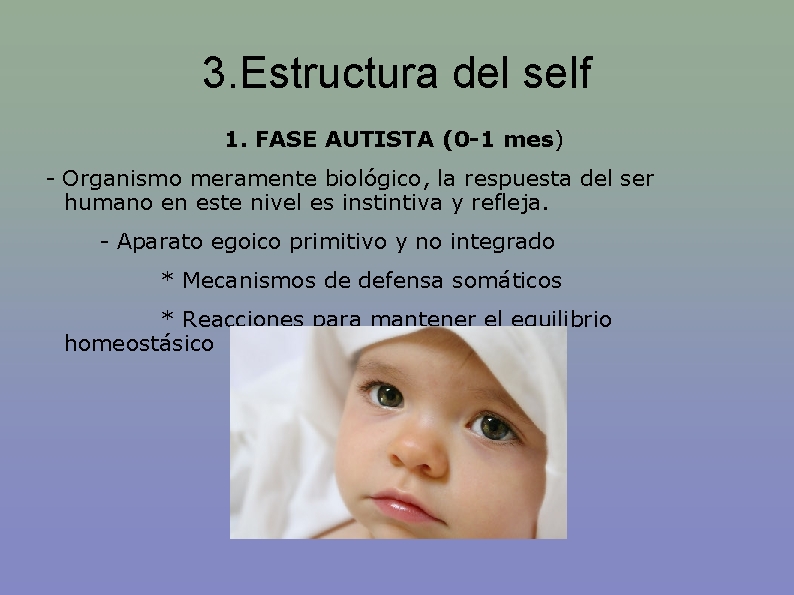 3. Estructura del self 1. FASE AUTISTA (0 -1 mes) - Organismo meramente biológico,