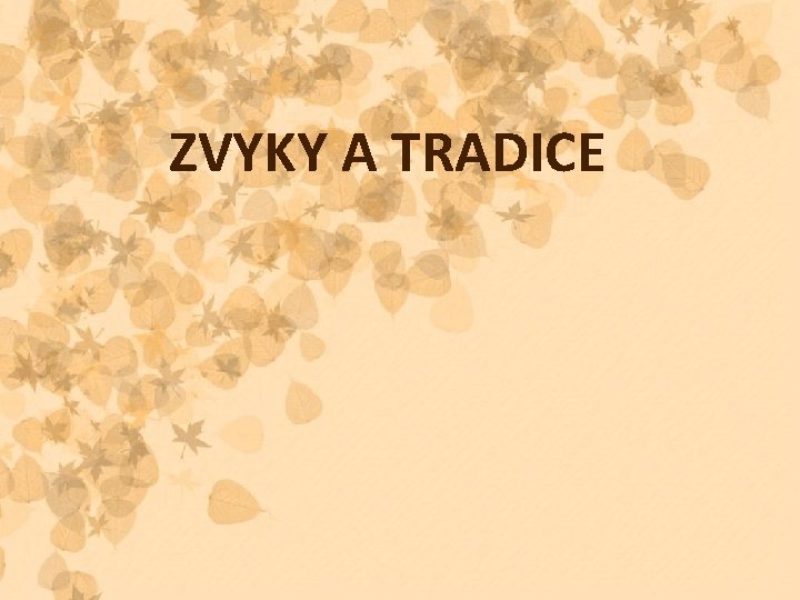 ZVYKY A TRADICE 