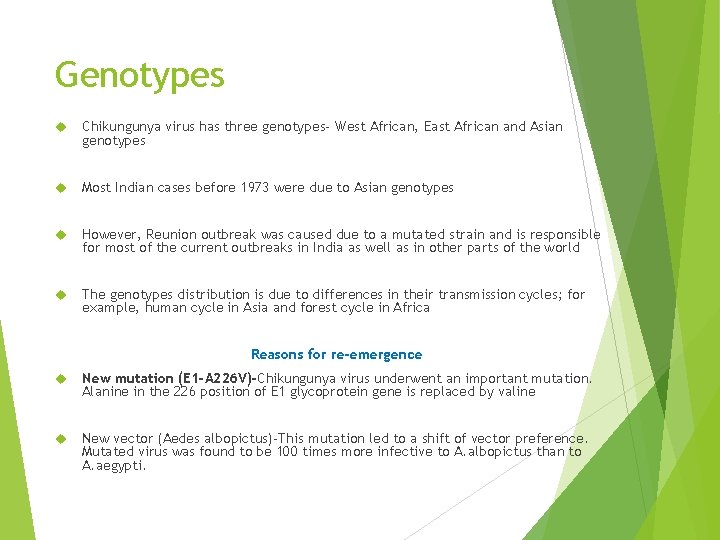 Genotypes Chikungunya virus has three genotypes- West African, East African and Asian genotypes Most
