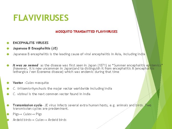 FLAVIVIRUSES MOSQUITO TRANSMITTED FLAVIVIRUSES ENCEPHALITIS VIRUSES Japanese B Encephalitis (JE) Japanese B encephalitis is