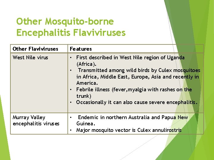 Other Mosquito-borne Encephalitis Flaviviruses Other Flaviviruses Features West Nile virus • First described in