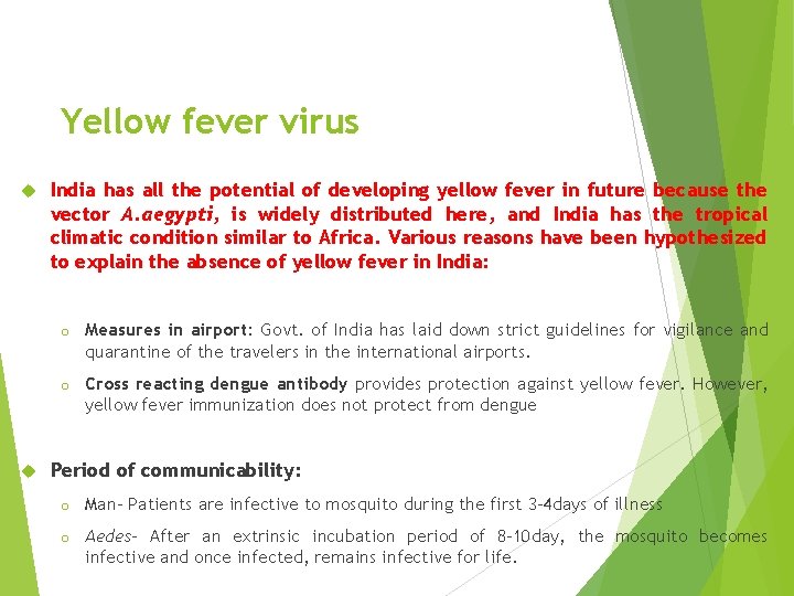 Yellow fever virus India has all the potential of developing yellow fever in future