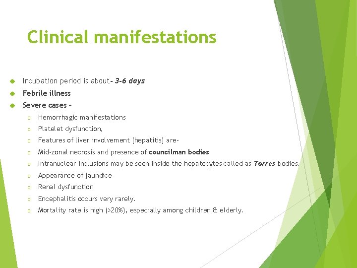 Clinical manifestations Incubation period is about- 3 -6 days Febrile illness Severe cases –