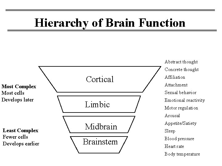 Hierarchy of Brain Function Abstract thought Concrete thought Most Complex Most cells Develops later