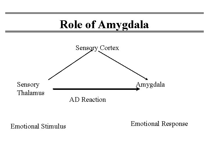 Role of Amygdala Sensory Cortex Sensory Thalamus Emotional Stimulus Amygdala AD Reaction Emotional Response