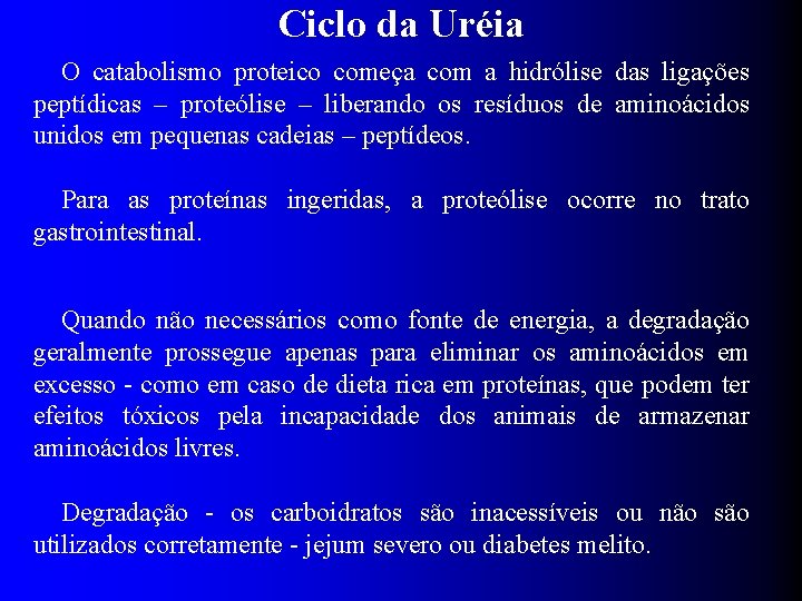 Ciclo da Uréia O catabolismo proteico começa com a hidrólise das ligações peptídicas –