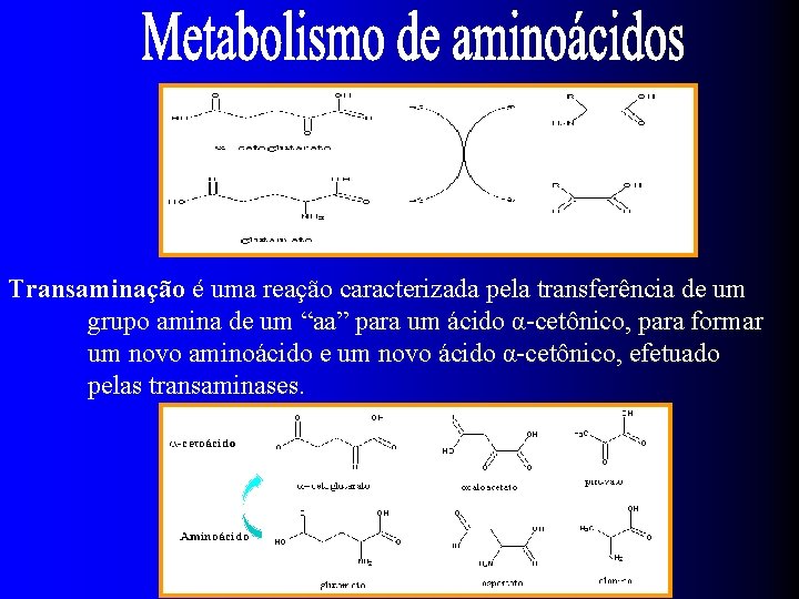 Aminotransferases Transaminação é uma reação caracterizada pela transferência de um grupo amina de um