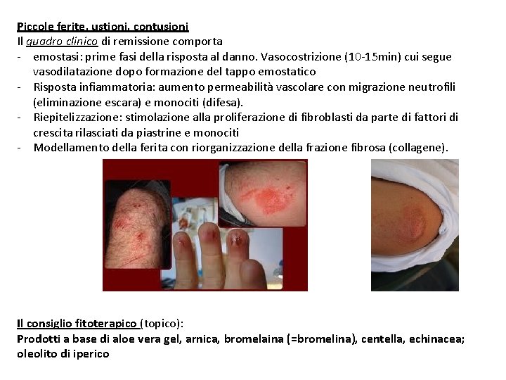 Piccole ferite, ustioni, contusioni Il quadro clinico di remissione comporta - emostasi: prime fasi