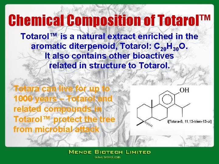 Chemical Composition of Totarol™ is a natural extract enriched in the aromatic diterpenoid, Totarol: