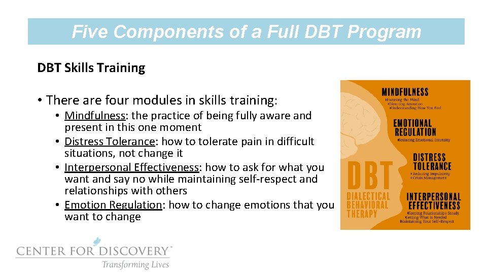 Five Components of a Full DBT Program DBT Skills Training • There are four