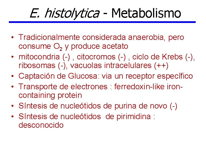 E. histolytica - Metabolismo • Tradicionalmente considerada anaerobia, pero consume O 2 y produce