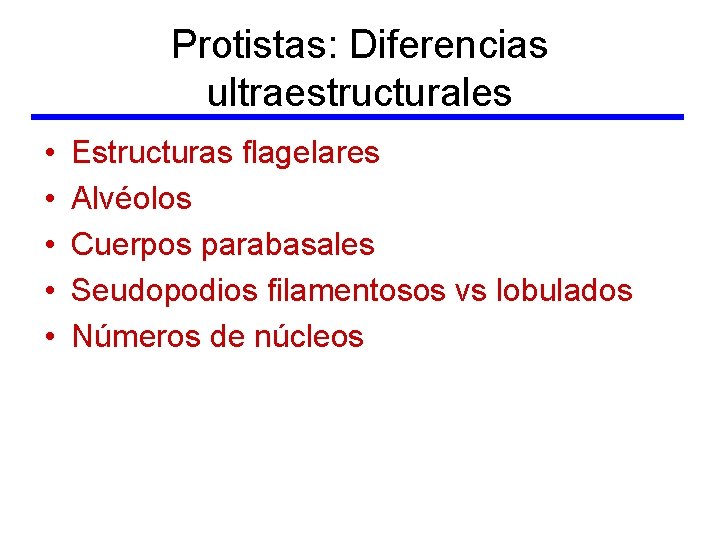 Protistas: Diferencias ultraestructurales • • • Estructuras flagelares Alvéolos Cuerpos parabasales Seudopodios filamentosos vs