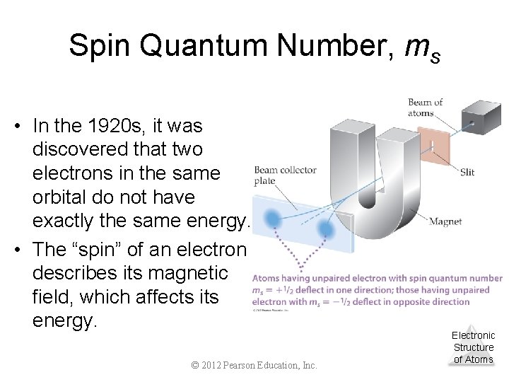 Spin Quantum Number, ms • In the 1920 s, it was discovered that two