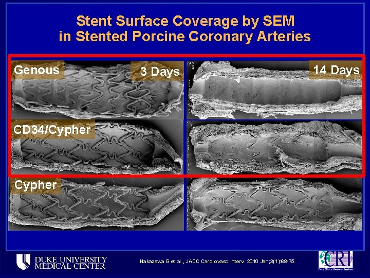 Stent Surface Coverage by SEM in Stented Porcine Coronary Arteries Genous 3 Days CD