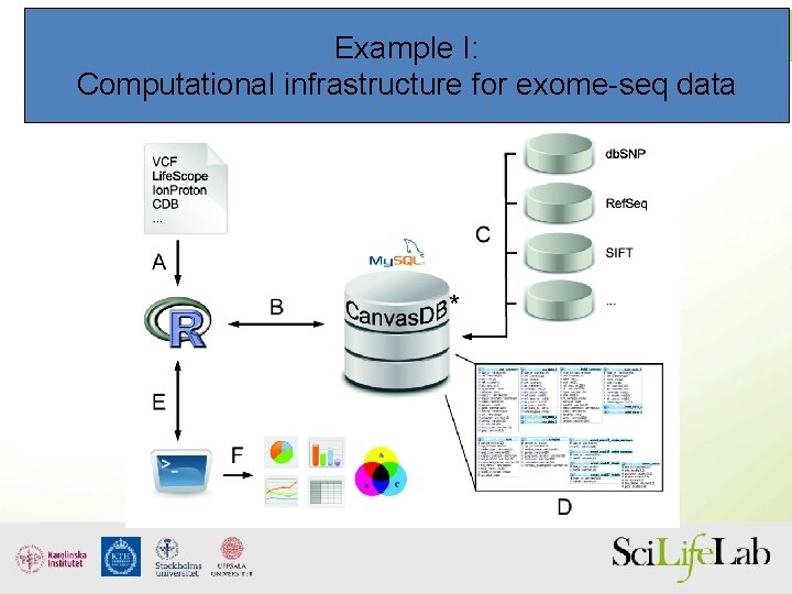 Example I: Computational infrastructure for exome-seq data * 