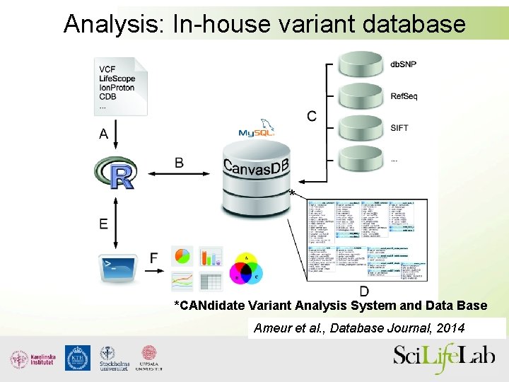 Analysis: In-house variant database * *CANdidate Variant Analysis System and Data Base Ameur et