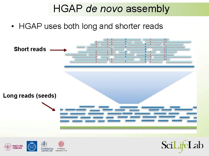 HGAP de novo assembly • HGAP uses both long and shorter reads Short reads