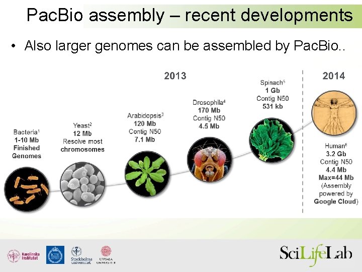 Pac. Bio assembly – recent developments • Also larger genomes can be assembled by