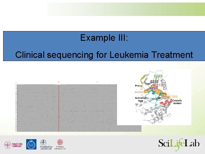 Example III: Clinical sequencing for Leukemia Treatment 