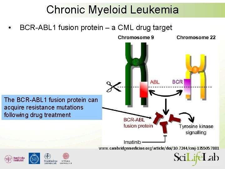 Chronic Myeloid Leukemia • BCR-ABL 1 fusion protein – a CML drug target The